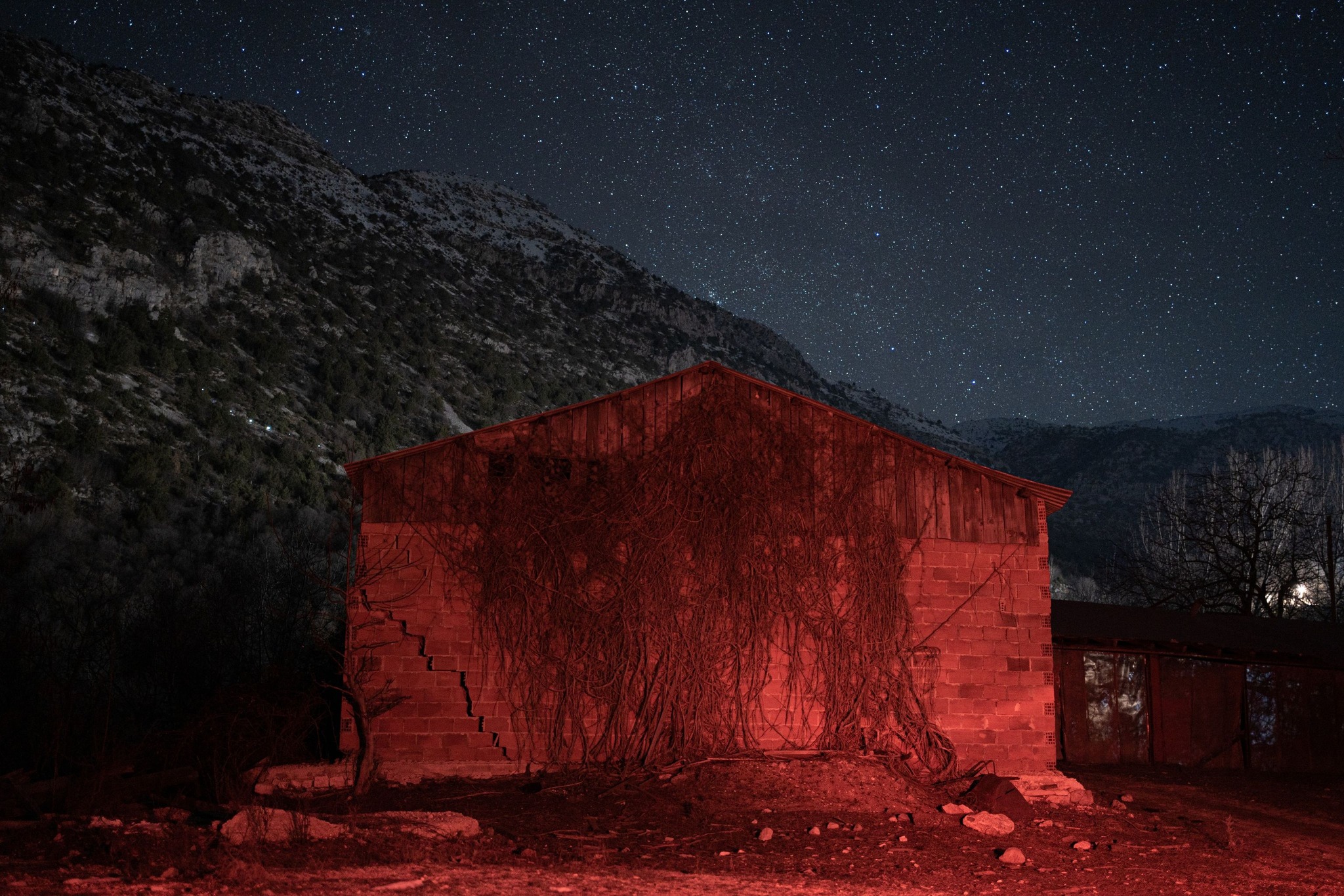 Κώστας Φραγκούλης.jpg