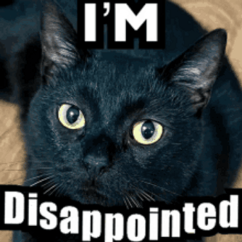 0370f844d.gif