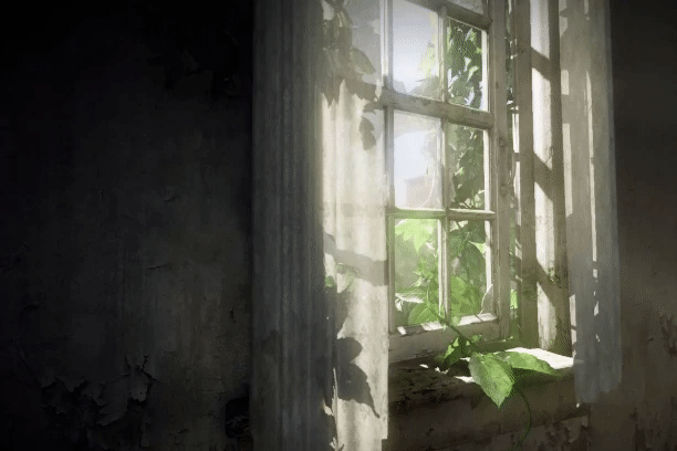 0869.gif