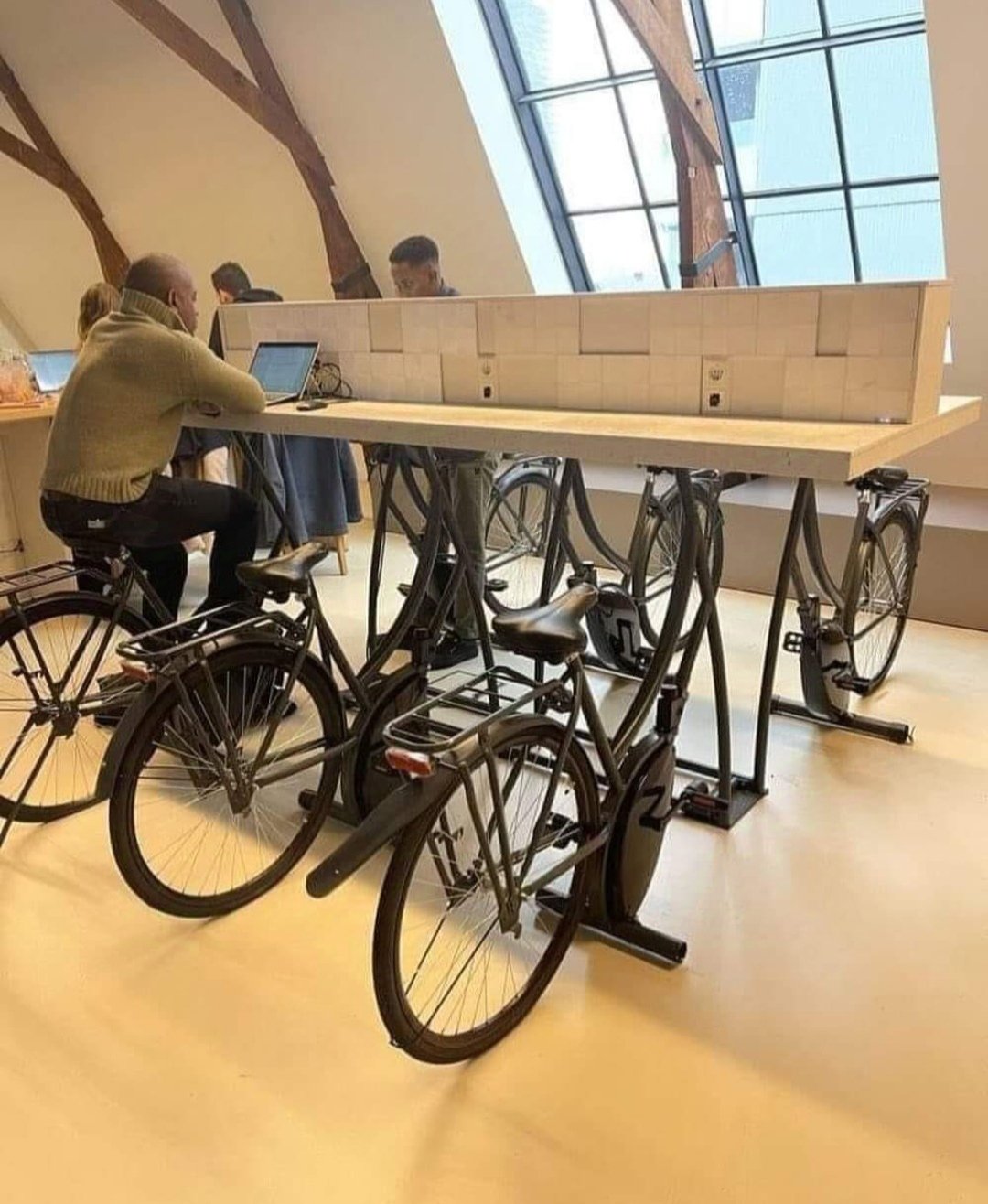 1000017506.jpg 1000017506.jpg