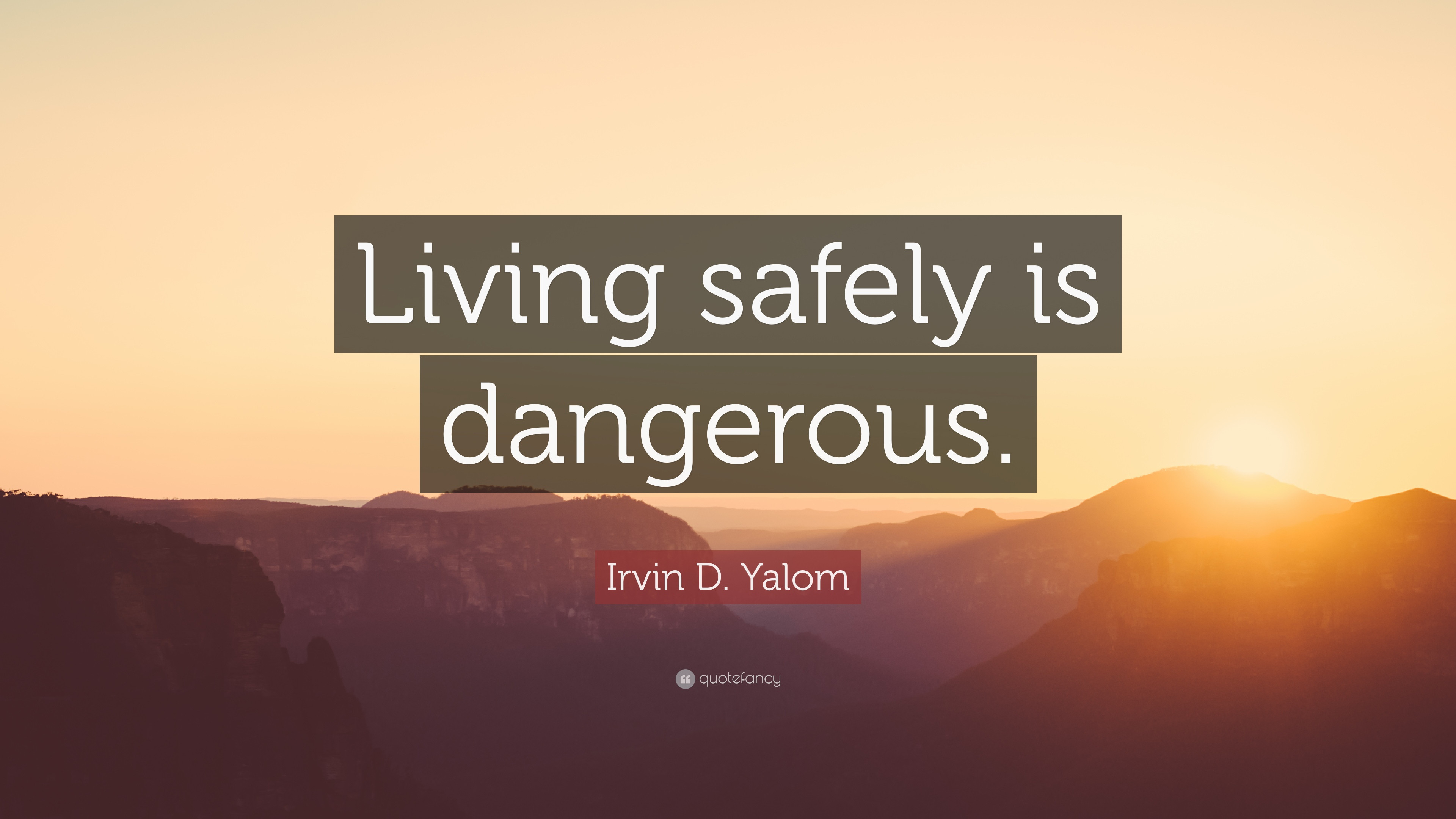 1168353-Irvin-D-Yalom-Quote-Living-safely-is-dangerous.jpg