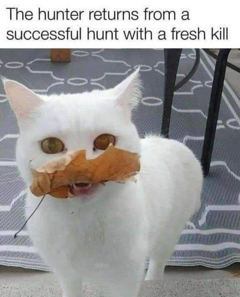 1652894156646.png