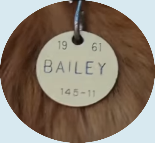 1674316635276.png 1674316635276.png