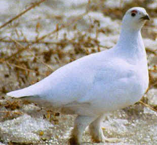 1731876633427.png 1731876633427.png