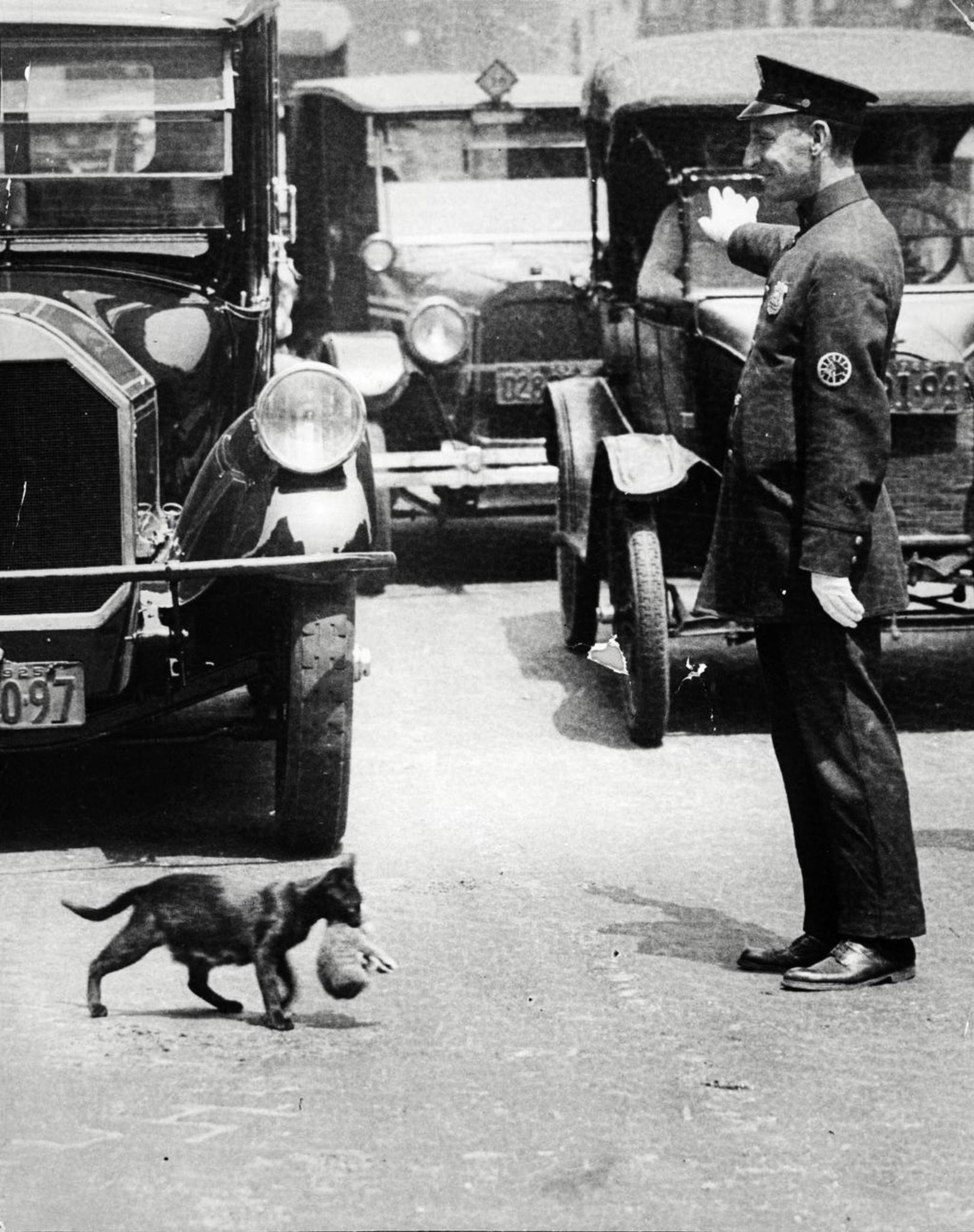 1925.jpeg
