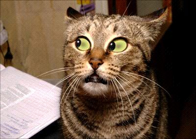 19bcc6034a9a603b47c77.gif
