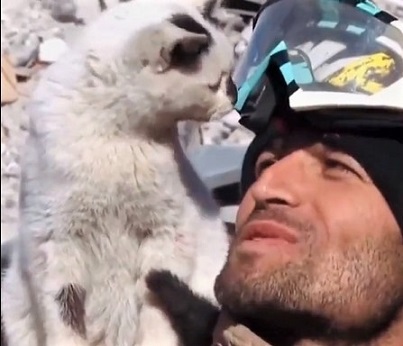 2023-02-19_113135 (2).jpg