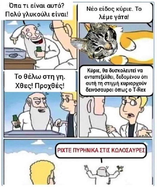 288667085.jpg
