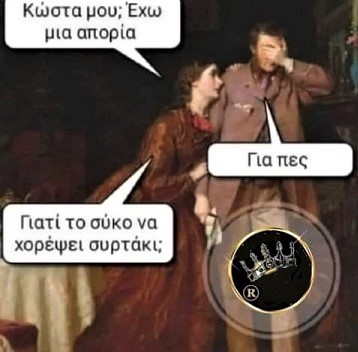 2902939.jpg