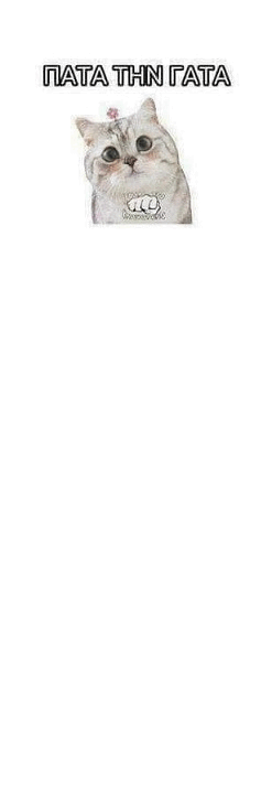 292529.gif