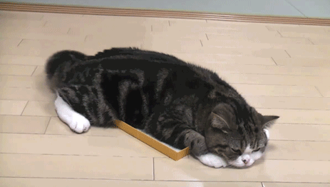 46a664577.gif