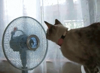 62430284e220c5bfa6f764e7.gif