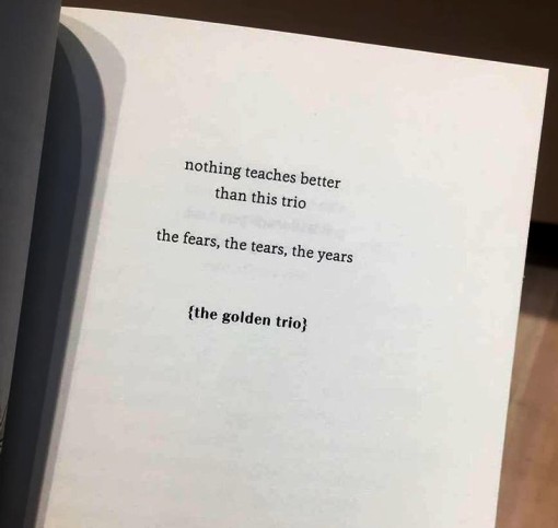8657.jpg