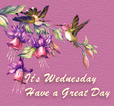ad58e2dc2d.gif