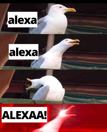 alexa-meme-funny-1.jpg