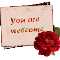 animaatjes-you-are-welcome.gif