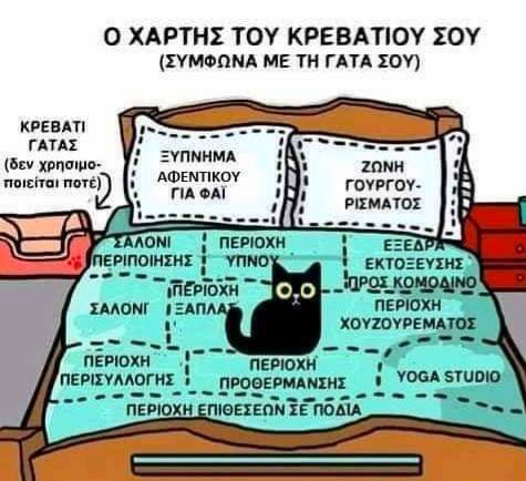 bed.png