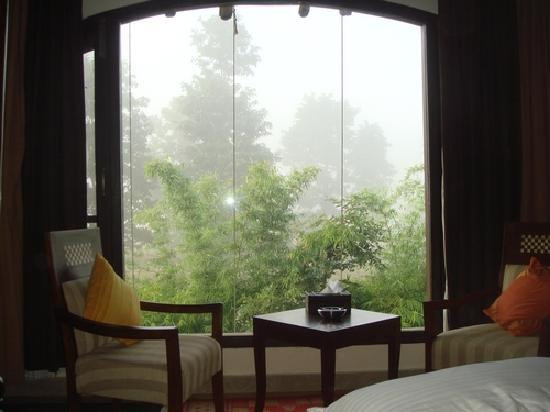 bedroom-forest-view.jpg
