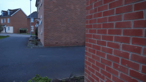 Sneaking.gif