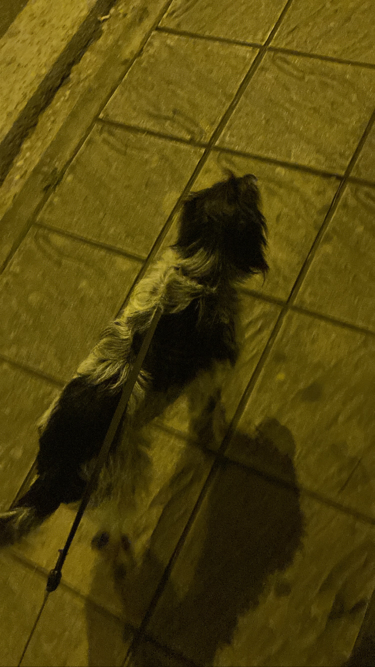 CED91B74-4128-41D7-A9A1-BEC042B3F1BE.jpeg