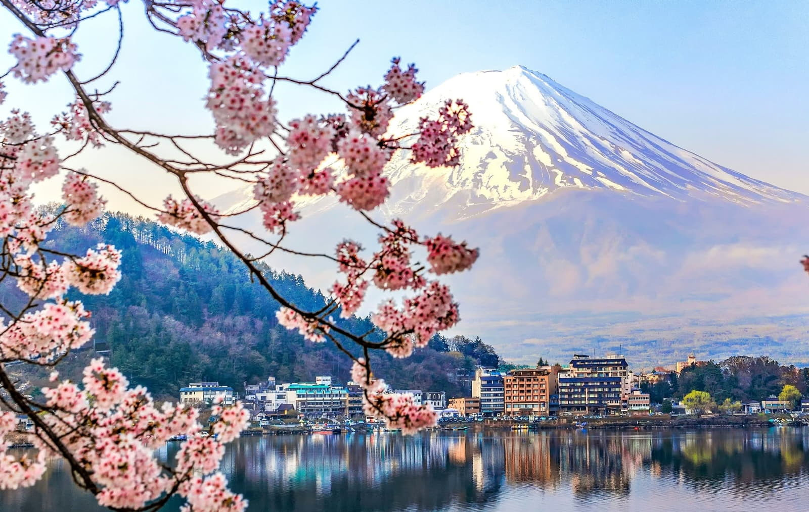 cherry-blossom-japan-loveyourholidays-ανθισμένες-κερασιές.jpg