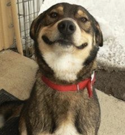 F2718EA3-9BE3-4656-8399-F3263CA648A8.jpeg F2718EA3-9BE3-4656-8399-F3263CA648A8.jpeg