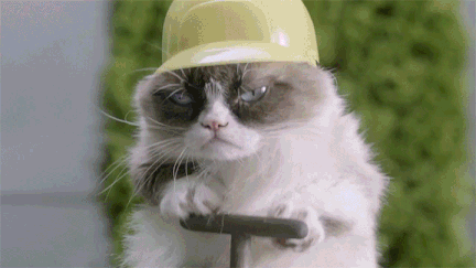 f53e2615.gif