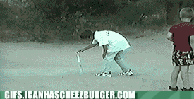 funny-gif-of-dog-grabbing-lit-firework-and-then-shooting-it-all-over-the-place.gif
