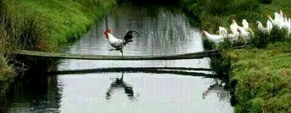 Great-leaders-dont-tell-you-what-to-do-they-show-you-how-its-done.jpg