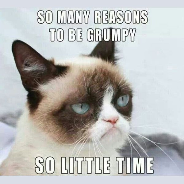 grumpy-cat-meme-00.jpg.optimal.jpg