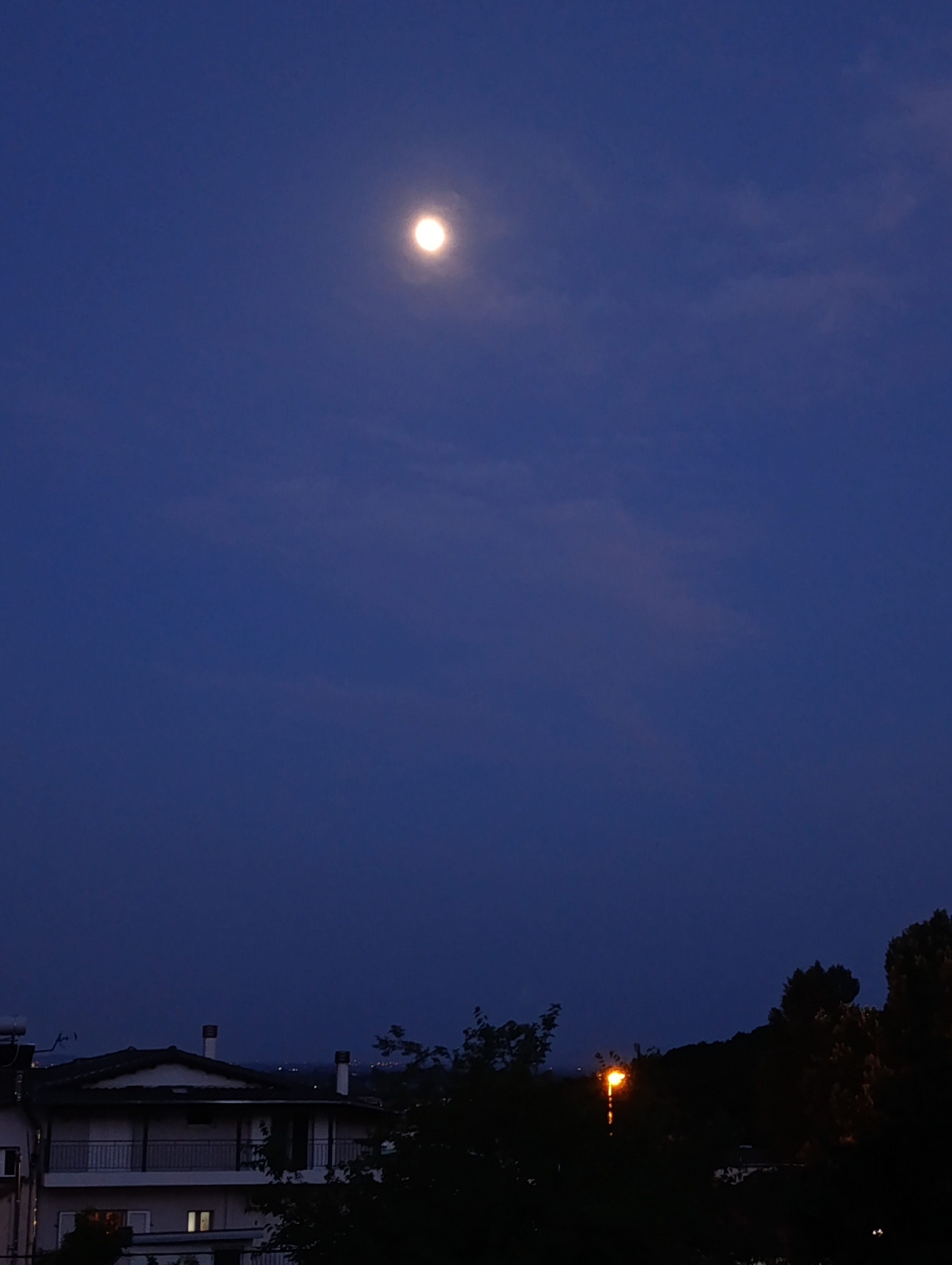 IMG_20250608_213115.jpg