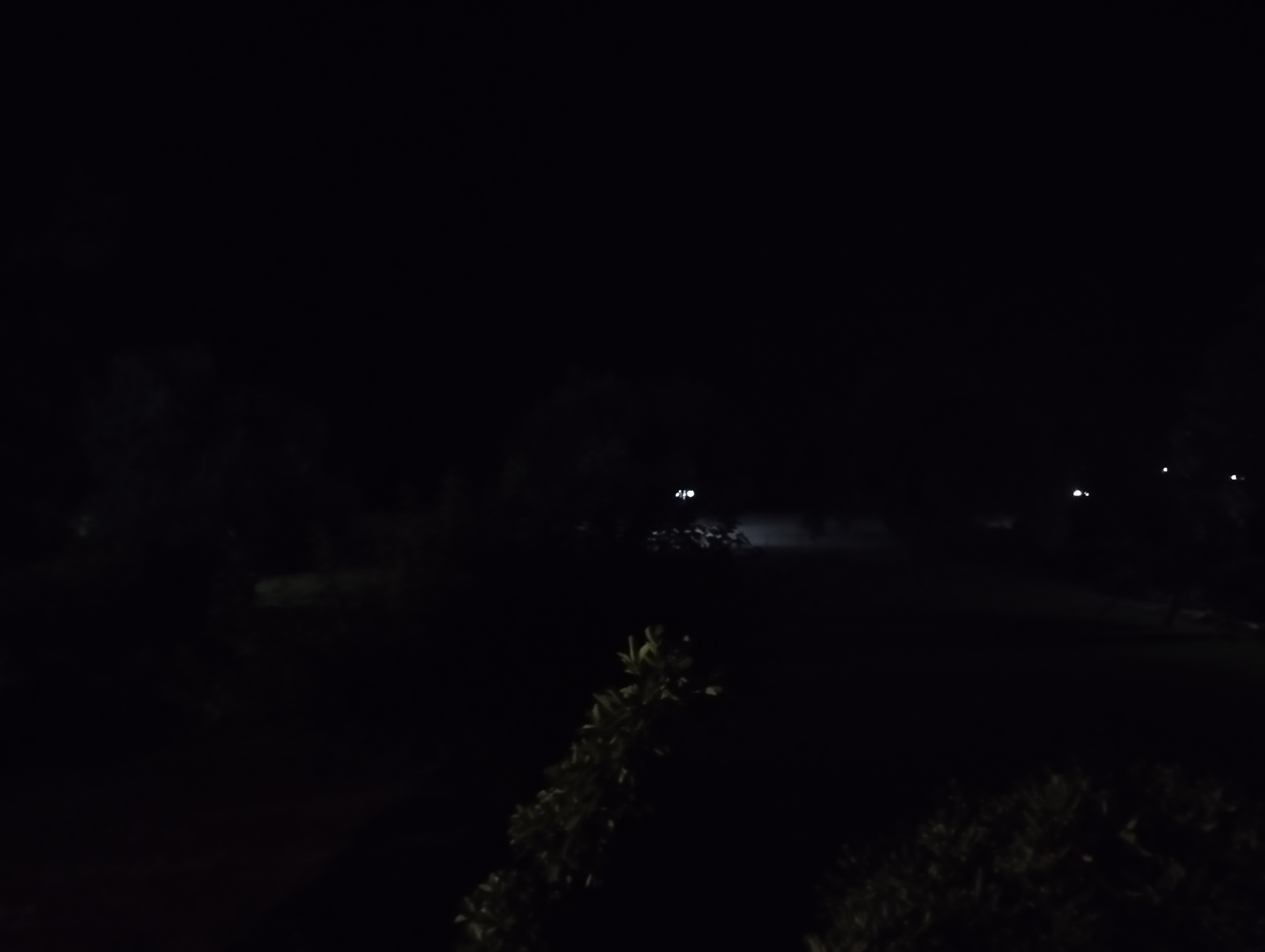 IMG_20250720_001711.jpg