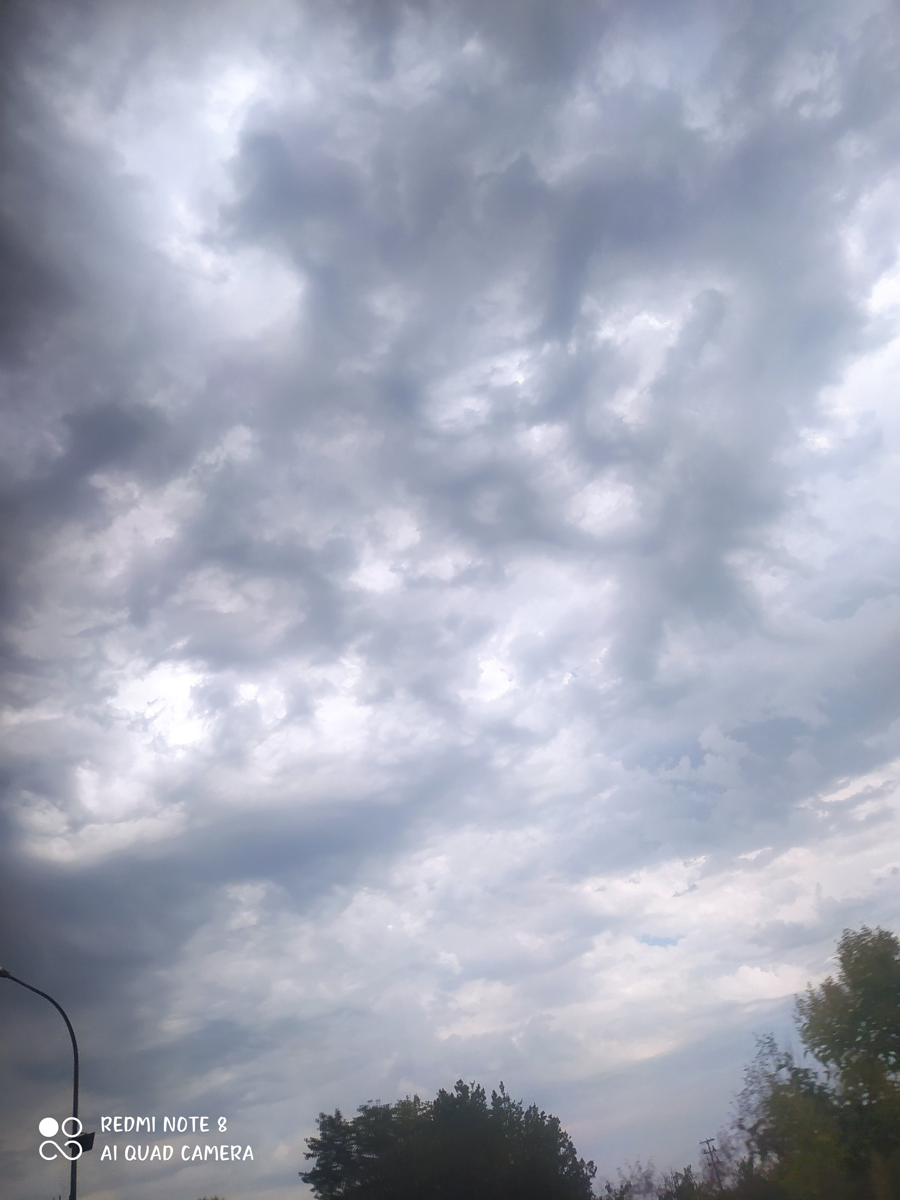 IMG_20250805_114621.jpg