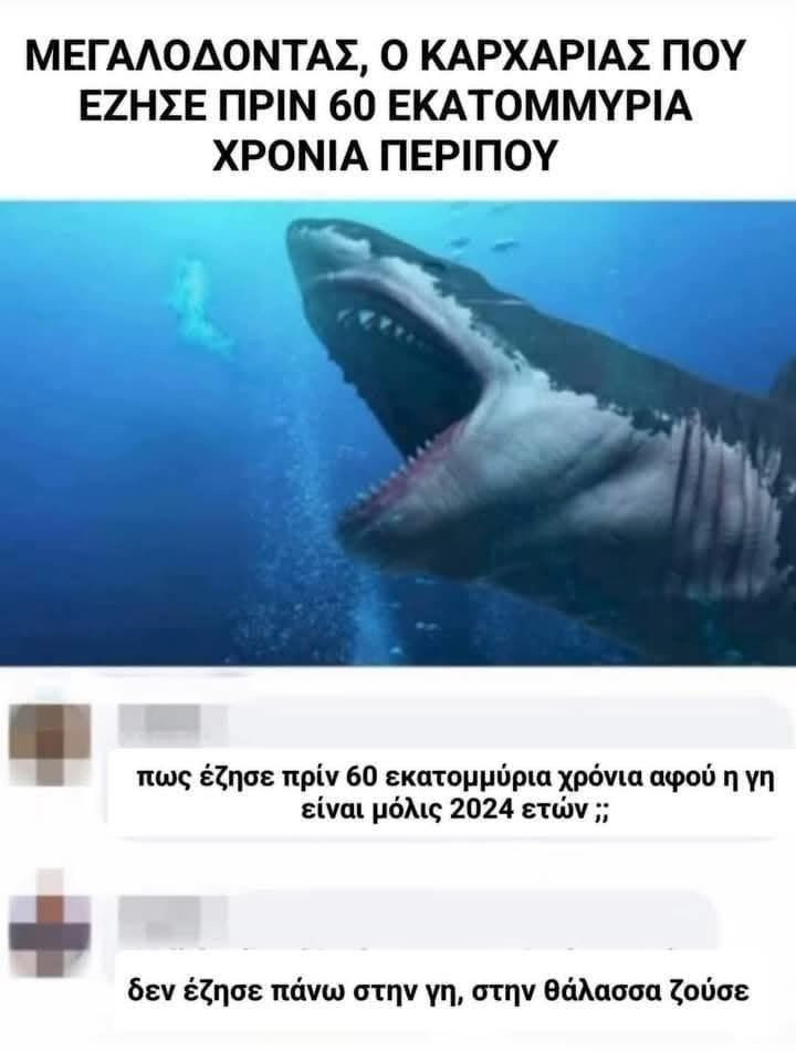 IMG_2615.jpeg