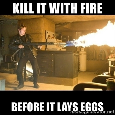 kill-it-with-fire-before-it-lays-eggs.jpg