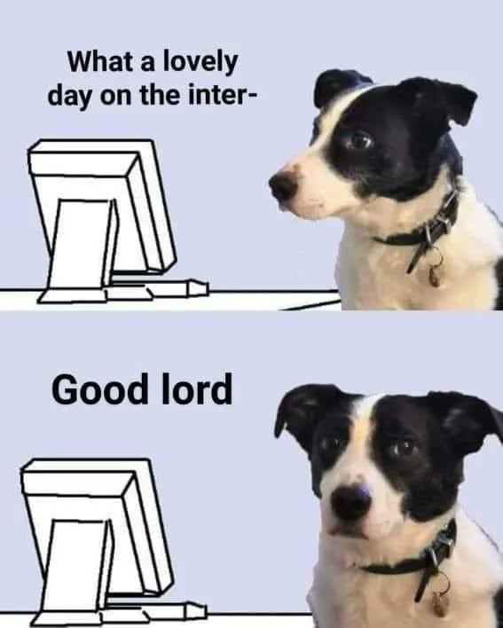 lovelydaydoginternet.jpg