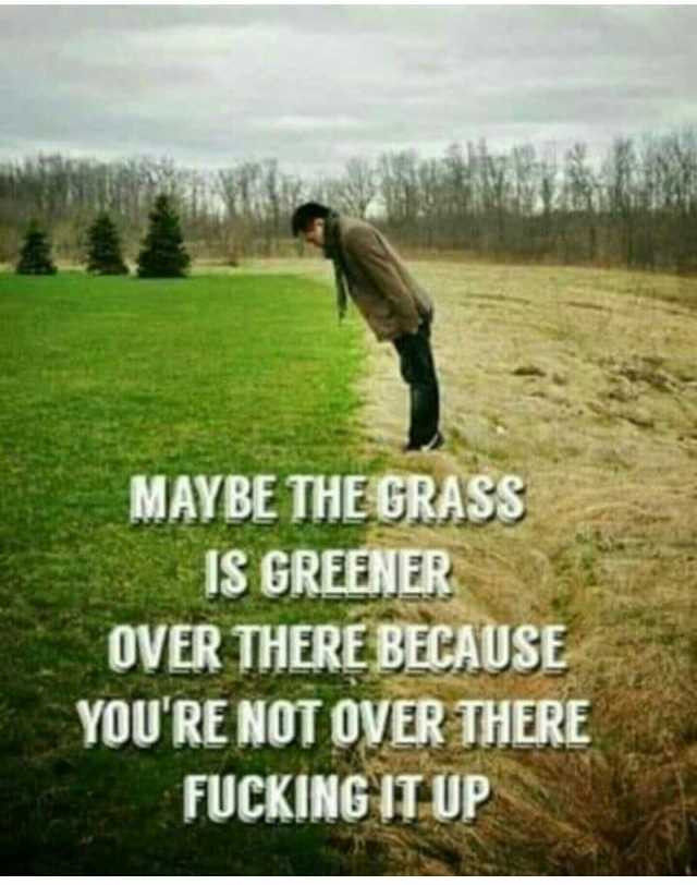 maybe-the-grass-is-greener-over-there-because-youre-not-over-there.jpg