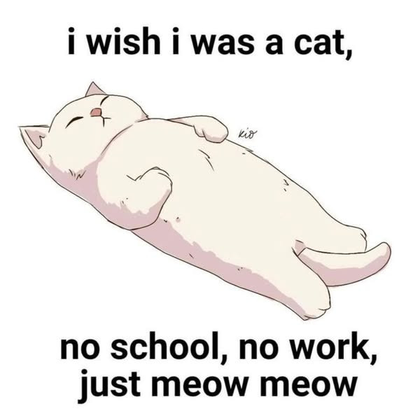 meow-meow.jpg