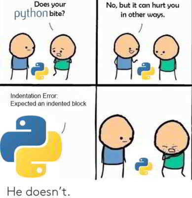 python-meme-12-does-your-python-bite.jpg
