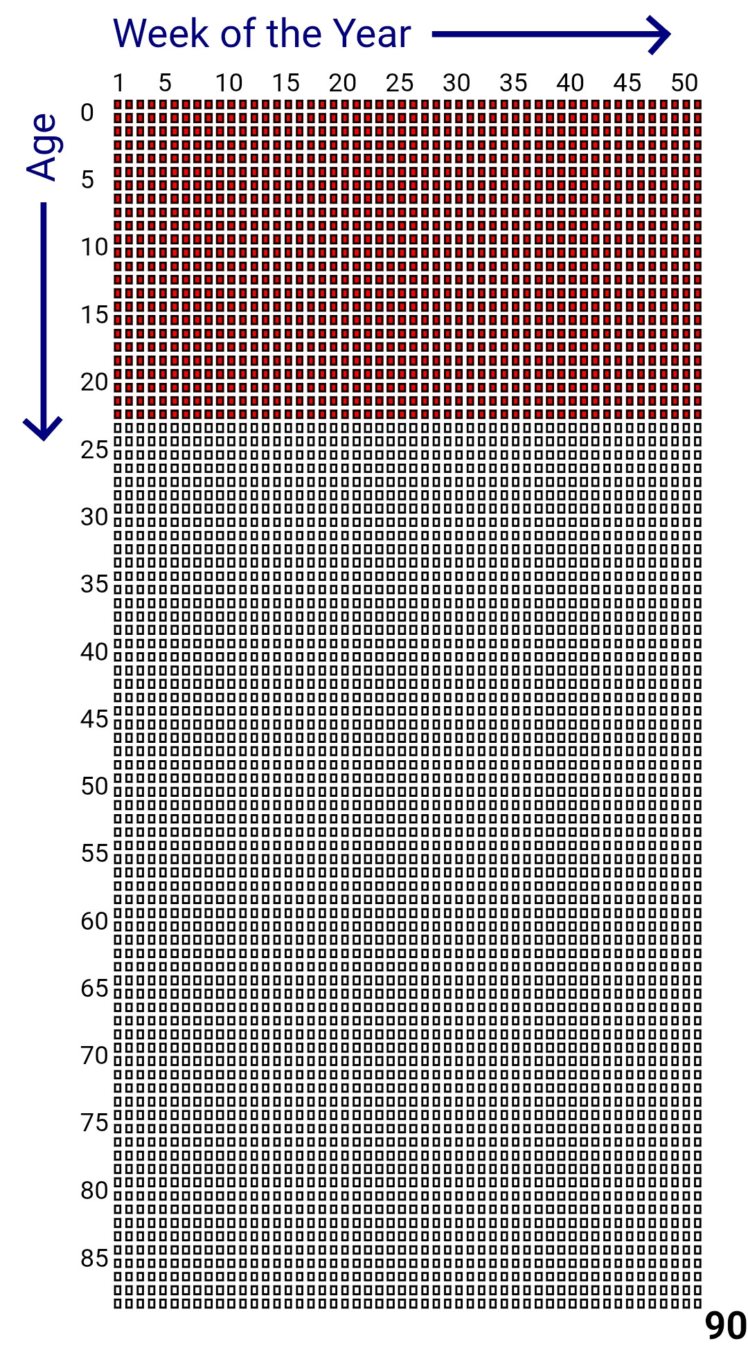 Life Calendar.jpg
