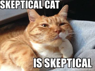 skeptical_cat.jpg