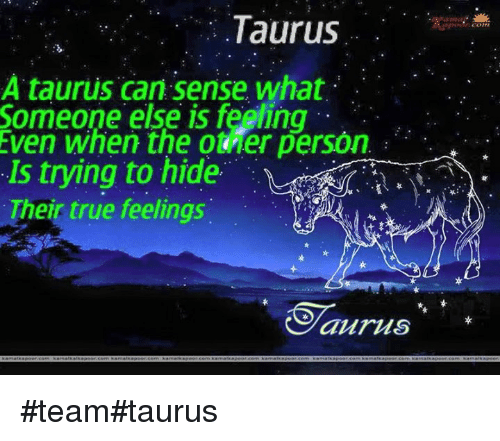 taurus-comm-a-taurus-can-sense-what-someone-else-is-34366045.png