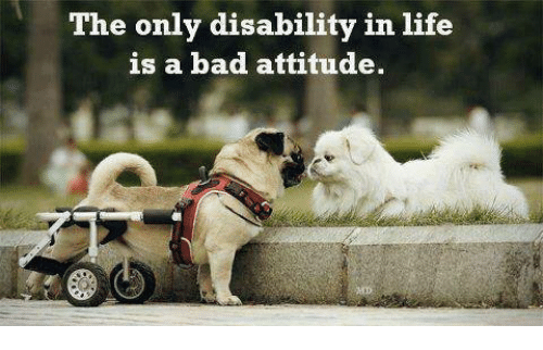 the-only-disability-in-life-is-a-bad-attitude-32300876.png