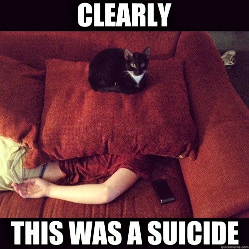 tumblr_m928k1RRyr1qewacoo1_500.jpg