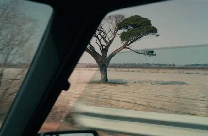 Vagabond 1985 Agnès Varda.jpg