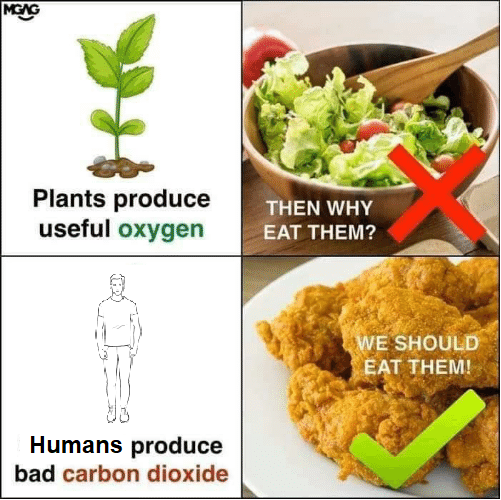WHY_EAT_PLANTS.png
