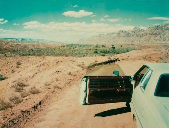 Wim Wenders, Polaroid.jpg