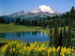 Nature_Mountains__000647_1.jpg