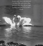 IMG_1080.jpeg