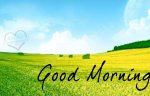 Good-Morning-2933.jpg